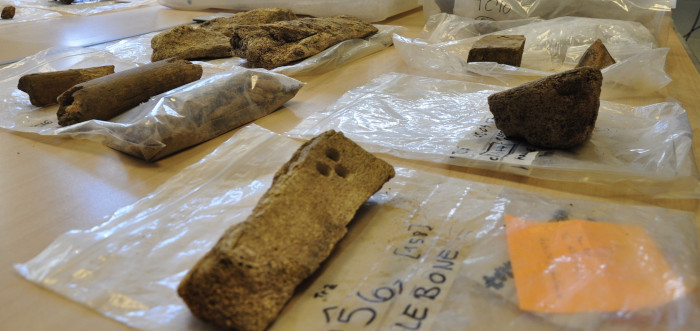 Whale bone from The Cairns in the lab