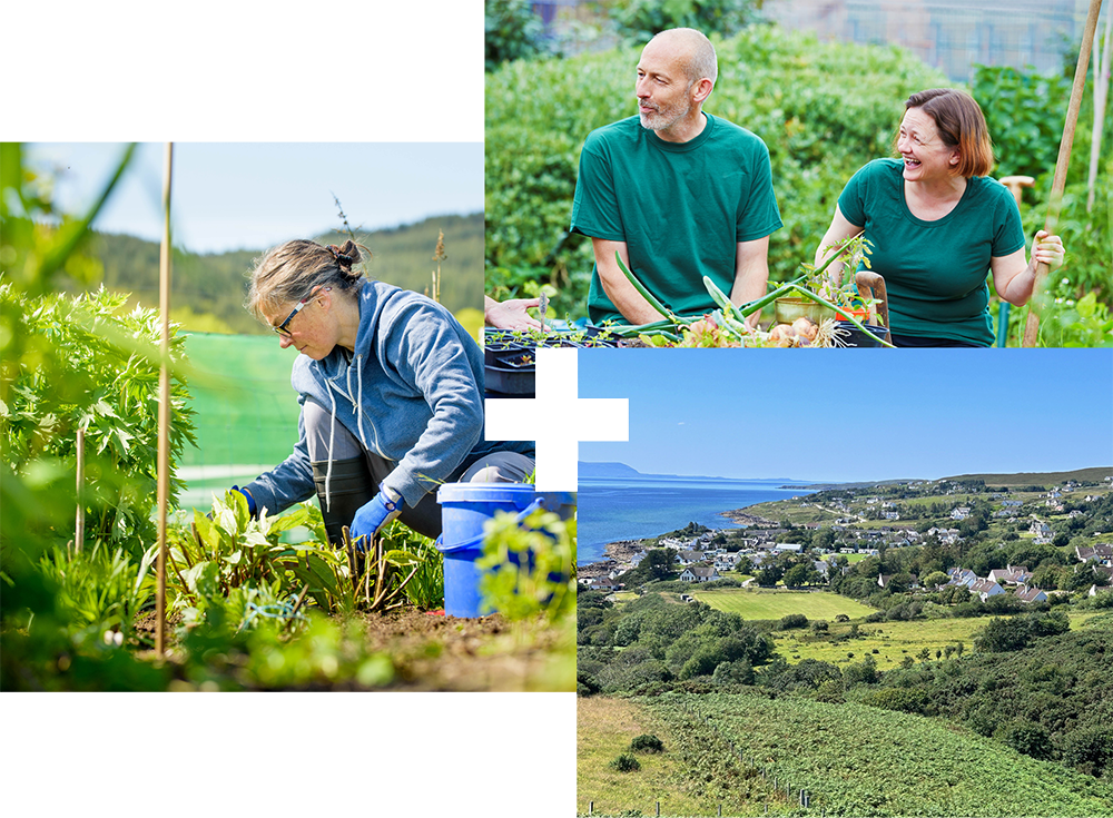 Two people gardening | A person tending to their crops | Aerial view of a small community Two people gardening | A person tending to their crops | Aerial view of a small community