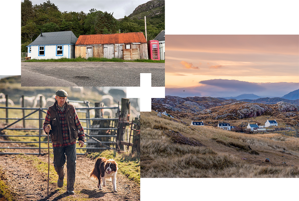 A new building next to an old one | A Shepard and their sheep dog | A few houses within a scenic landscape A new building next to an old one | A Shepard and their sheep dog | A few houses within a scenic landscape
