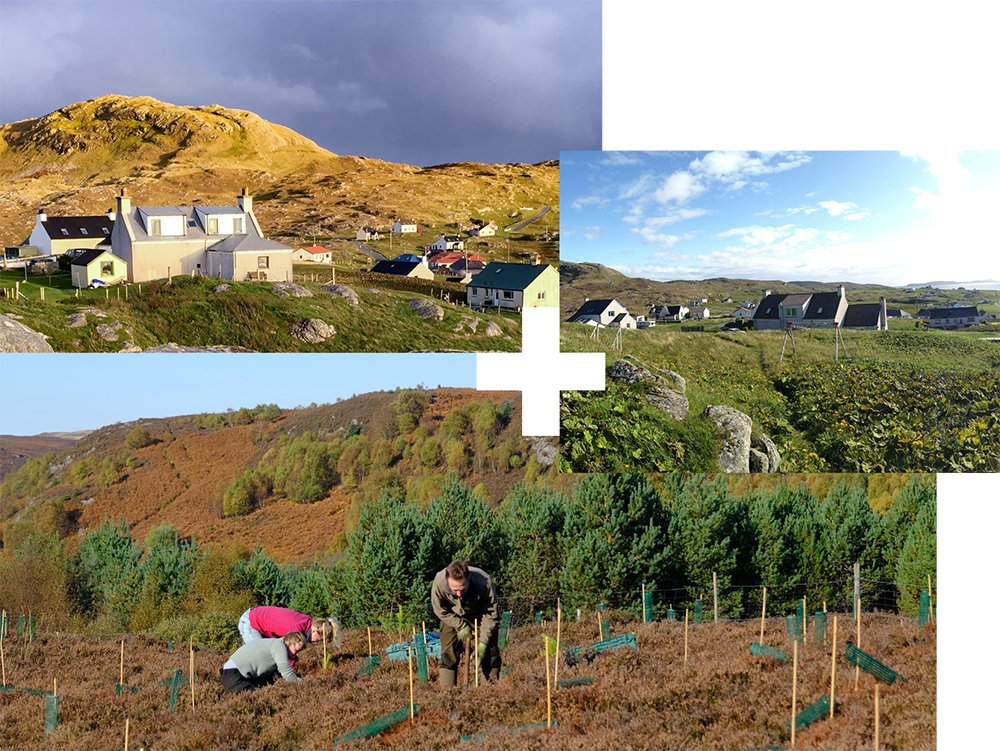 Small community in the hills | People planting trees | Small cluster of houses in a scenic environment Small community in the hills | People planting trees | Small cluster of houses in a scenic environment