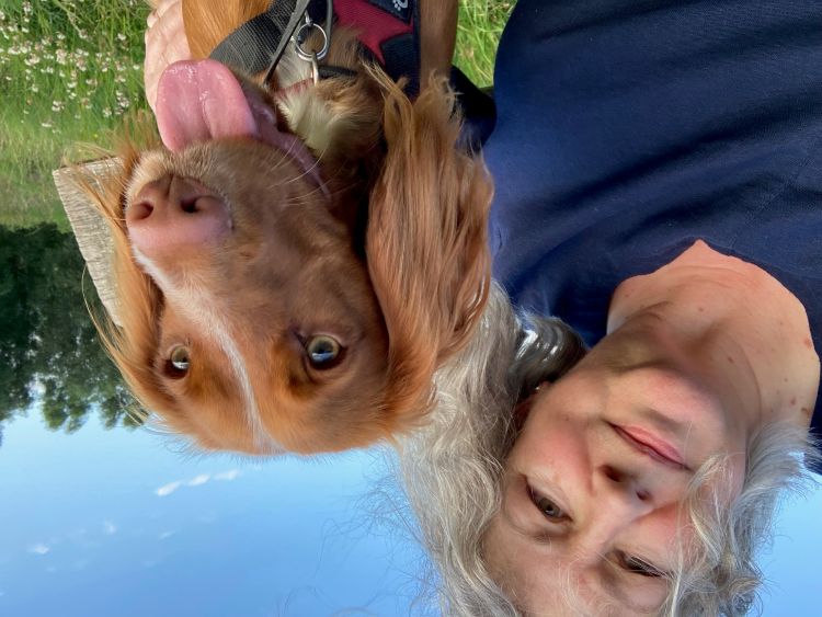 Close-up photo of a woman and a fudge-brown spaniel
