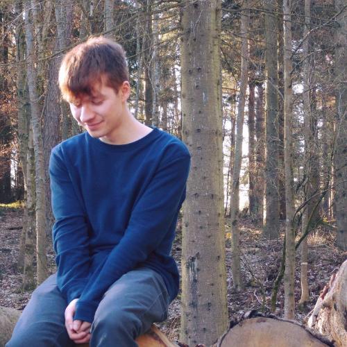 Man wearing a blue jumper sitting on a pile of logs with trees in the background