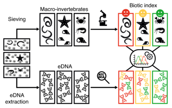 BactMetBar WorkFlow 2