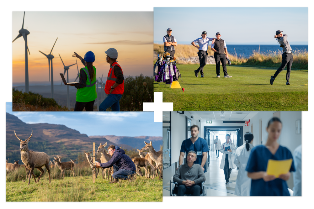 Collage of 4 | People looking at windmills | People playing golf | Man sitting surrounded by deer | People in a hospital corridor