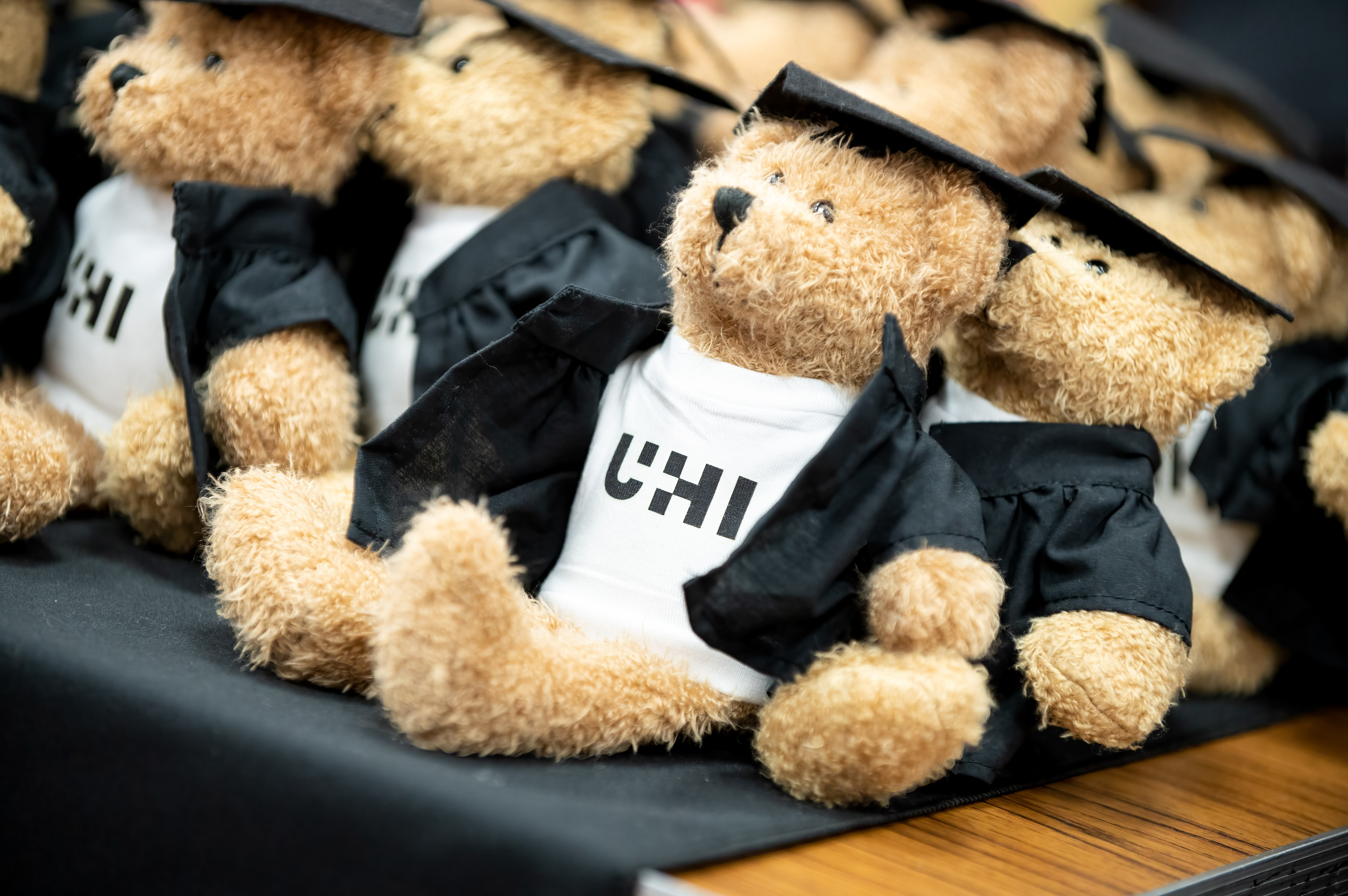 Teddy bear wearing graduation gown and hat with a t-shirt with UHI written on it